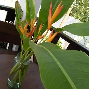 Villa Chalisa Koh Tao